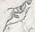 Керамогранит Atlas Concorde Forte dei Marmi quark Oyster Wh белый Mat (60x120х0,9) арт. 610015000698 матовый на сайте domix.by